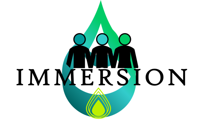 Logo immersion 4